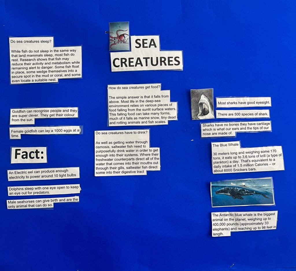 SCHOOL DISPLAYS – Garden of Knowledge